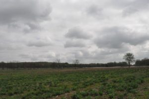 10 DSC 0268