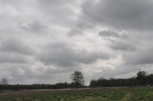 12 DSC 0269