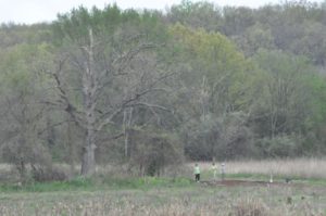 21 DSC 0281