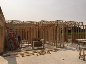 24 IMG954915