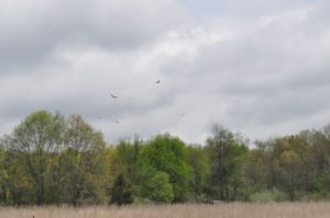 30 DSC 0299