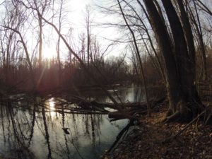 5 PG West along river 1