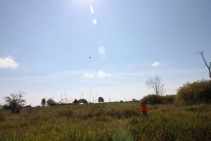 77 IMG 1478 Copy