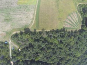 8 MIsc Bridge 034