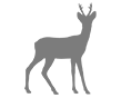 deer glyph